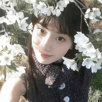 海盗艶史海报